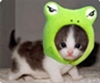 Avatar du membre