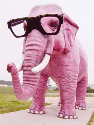 elephant rose.jpg