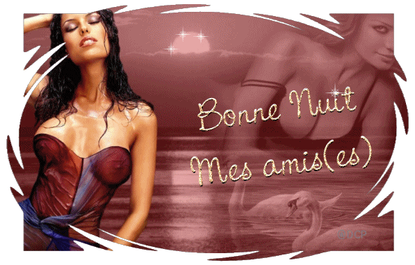 re-bonne-nuit (1).gif