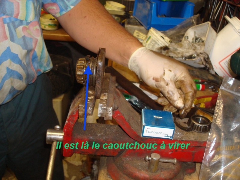 DSC00721.JPG