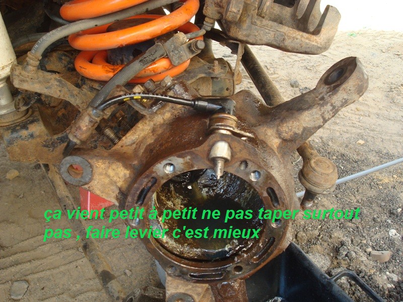 DSC00700.JPG