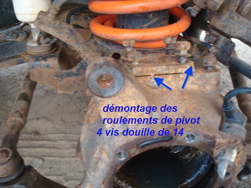 DSC00696.JPG