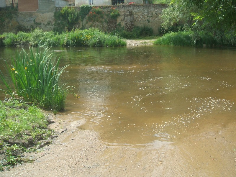 DSCF1197.JPG