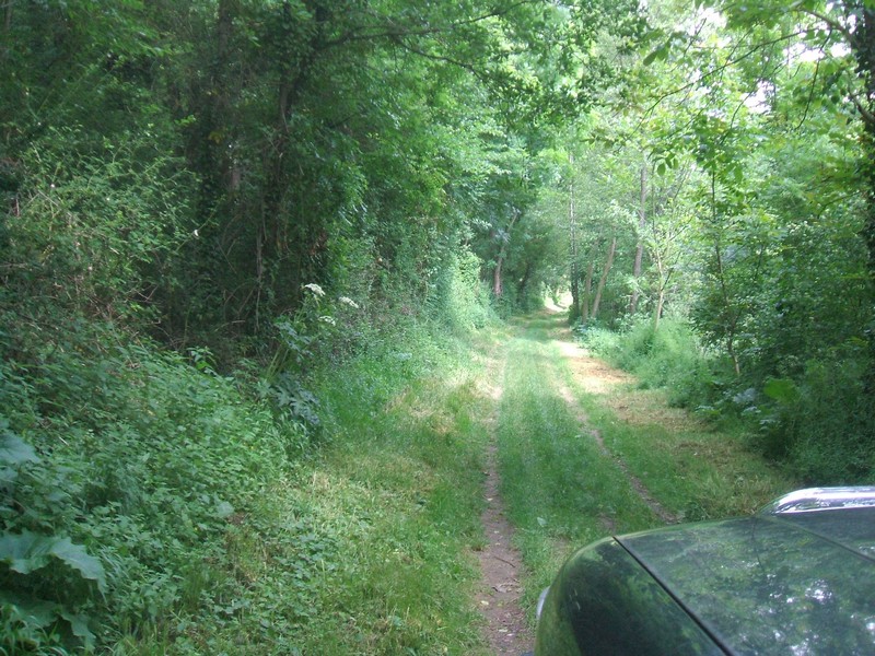 DSCF1201.JPG