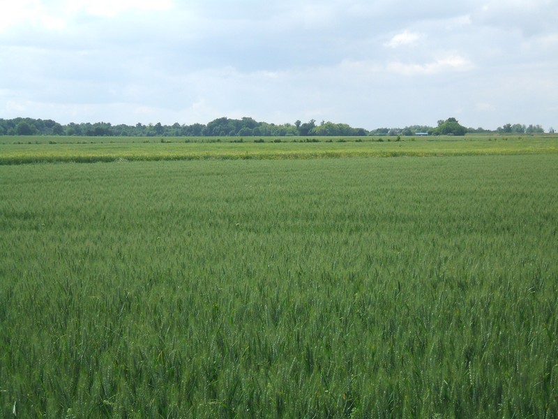DSCF1205.JPG
