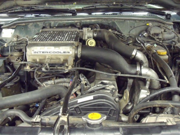 vte (9)-600.jpg