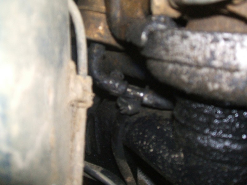 DSCF1206.JPG