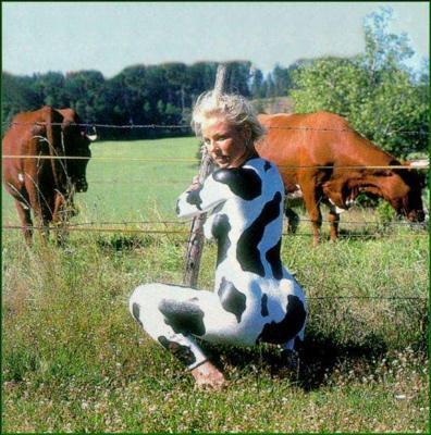 vache.JPG