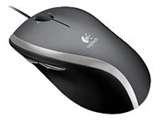 souris 2.jpeg