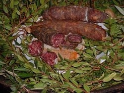 N_imp_photo_446_1201272463.jpg