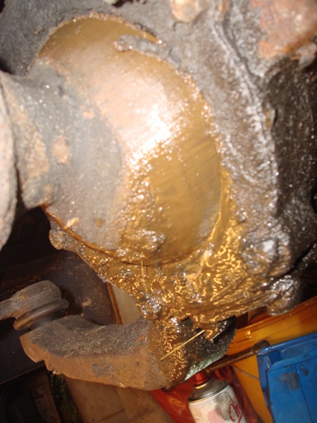 DSC01371.JPG