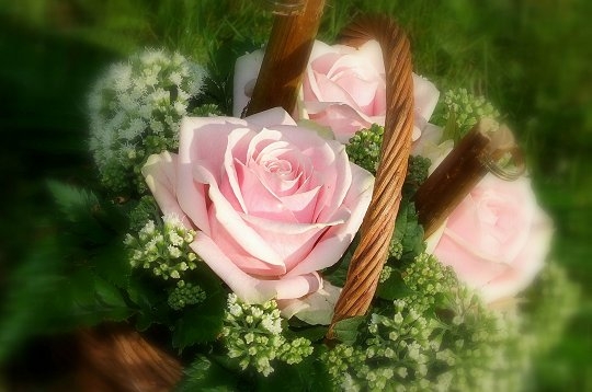 fleur-mariage-233738.jpg