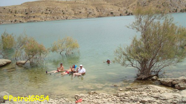 Dsc06503.jpg