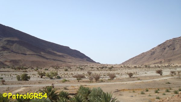 Dsc06771.jpg