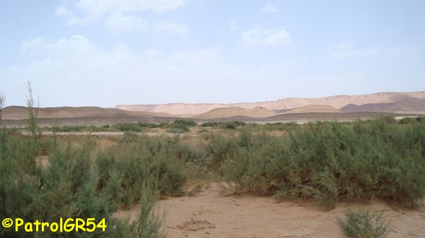 Dsc06700.jpg