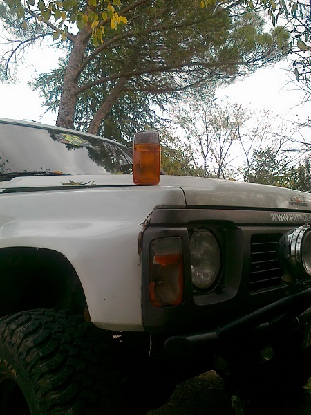 cligno gr 001.jpg