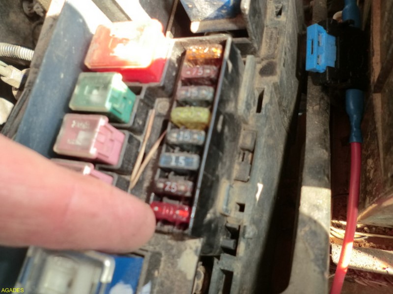 CIMG5969 (Copier).JPG