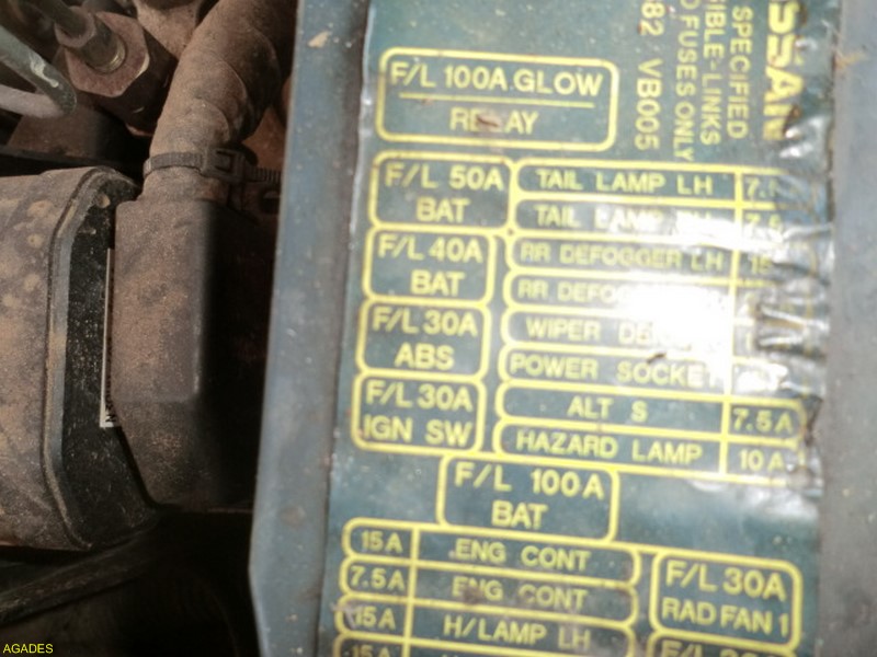 CIMG5968 (Copier).JPG