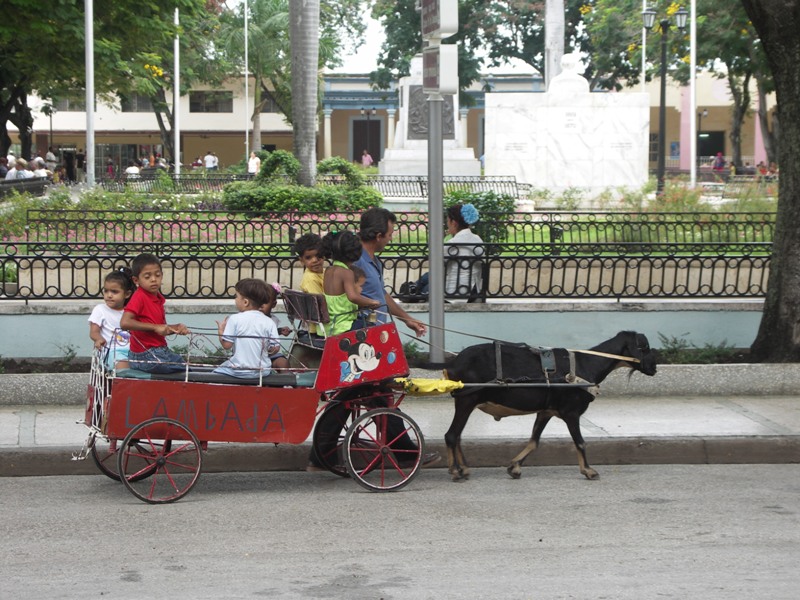 PICT0262.JPG