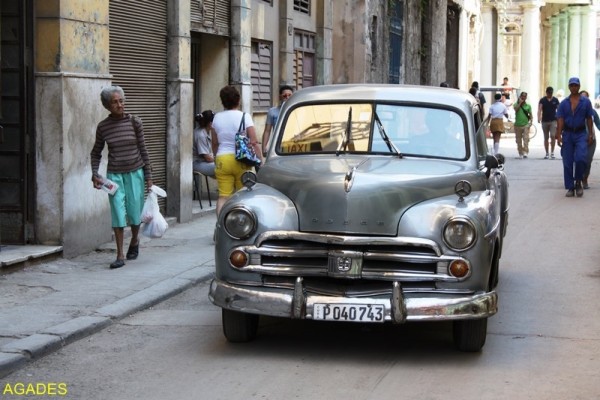 IMG_6425 - Copie (Copier).JPG