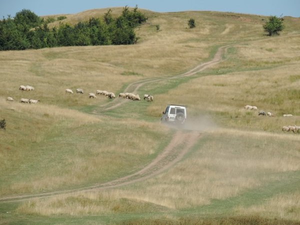 Photo 5.jpg