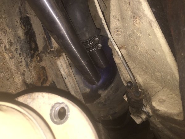 IMG_1510.JPG
