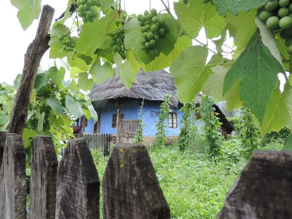 Casa mamei, Corbi de piatra 1 web.jpg