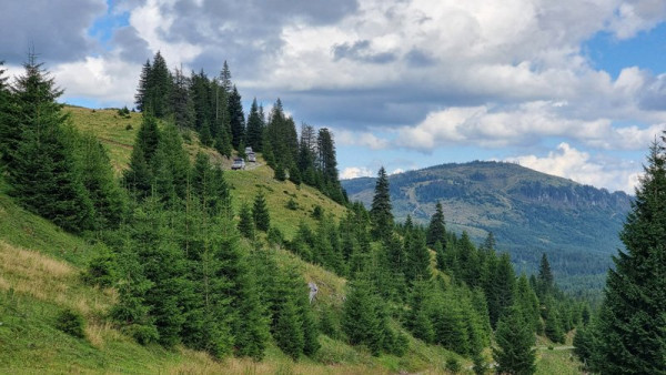 Prislop 1 Paj.jpg