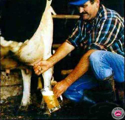 traire_vache__biere.jpg