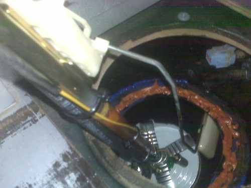 IMG02066.jpg