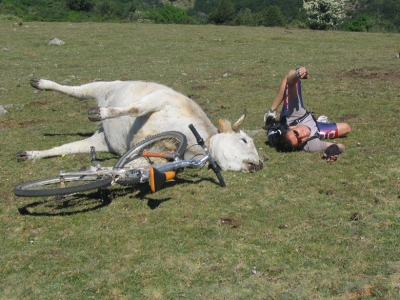 vtt-est-vache-photo-sport-dont-etes-plus-fier_31960.jpg