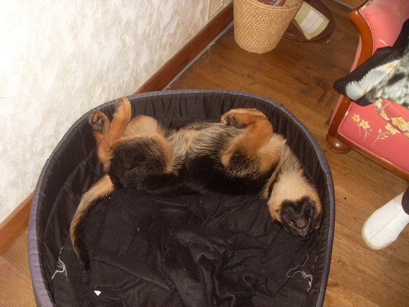 Le repos du guerrrier !