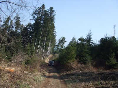 Terrano longue piste.jpg