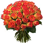 bibi_41_150.gif.jpg