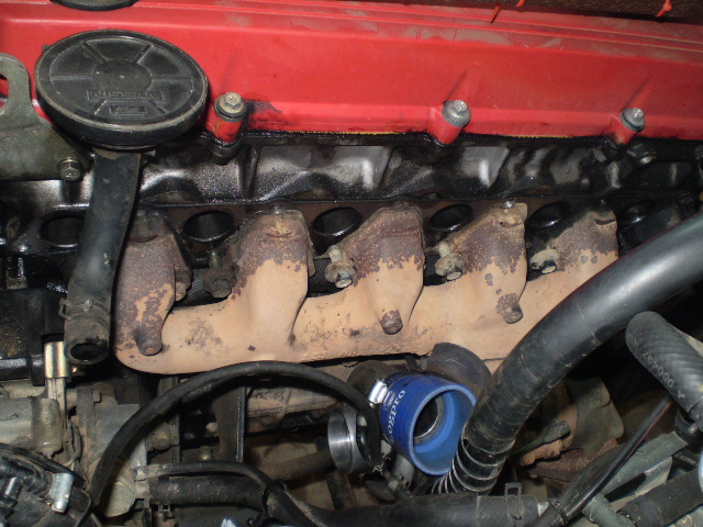 P8010004.JPG